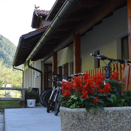 トールミン Tourist Farm Pri Kafoluヴィラ 部屋 写真